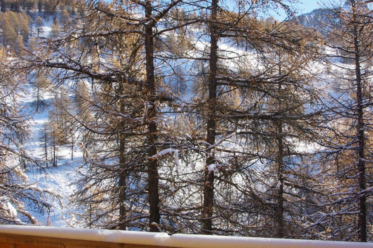 Spacieux Et Fonctionnel Dans Ecrin Des Neiges Вар Екстериор снимка